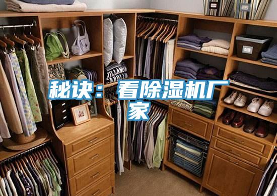 秘诀：看粉色应用黄色软件厂家