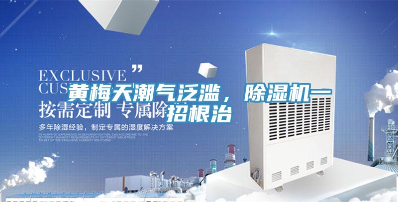 黄梅天潮气泛滥，粉色应用黄色软件一招根治