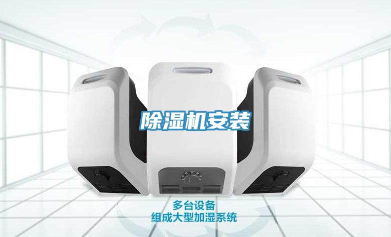 粉色应用黄色软件安装