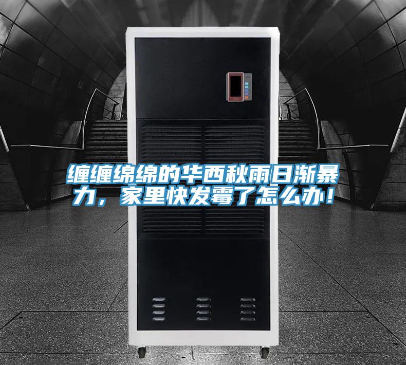 缠缠绵绵的华西秋雨日渐暴力，家里快发霉了怎么办！