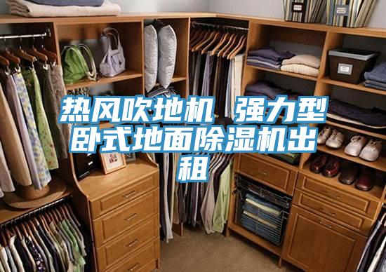 热风吹地机 强力型卧式地面粉色应用黄色软件出租