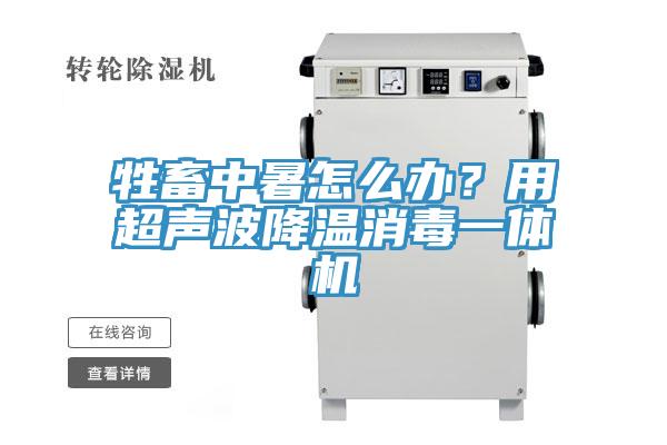 牲畜中暑怎么办？用超声波降温消毒一体机