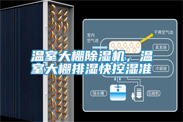 温室大棚粉色应用黄色软件，温室大棚排湿快控湿准