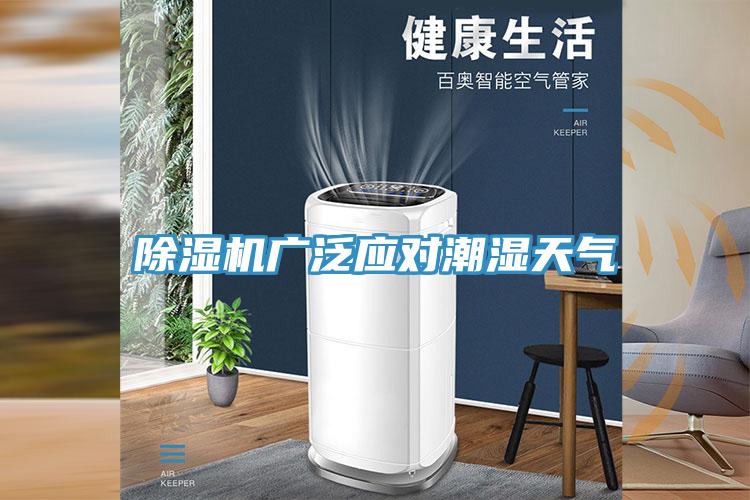 粉色应用黄色软件广泛应对潮湿天气