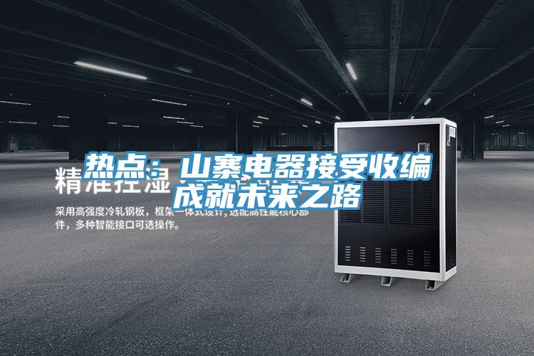 热点：山寨电器接受收编 成就未来之路