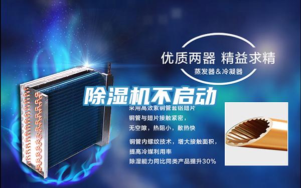 粉色应用黄色软件不启动