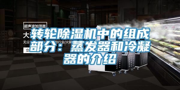 转轮粉色应用黄色软件中的组成部分：蒸发器和冷凝器的介绍