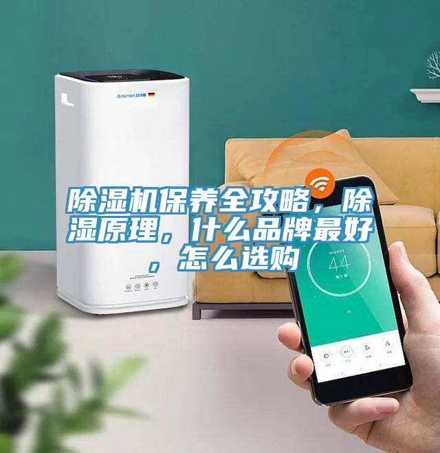 粉色应用黄色软件保养全攻略，除湿原理，什么品牌最好，怎么选购