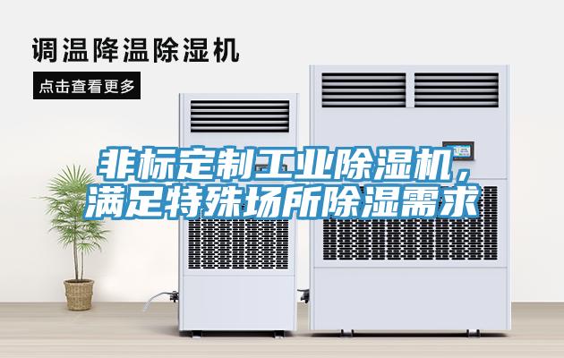 非标定制工业粉色应用黄色软件，满足特殊场所除湿需求