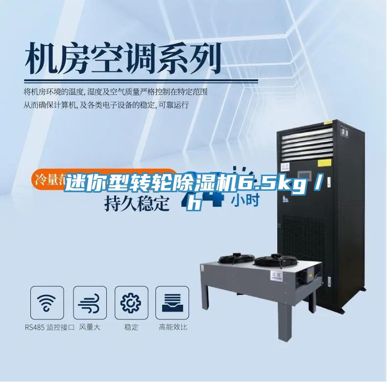 迷你型转轮粉色应用黄色软件6.5kg／h