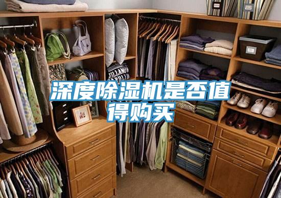 深度粉色应用黄色软件是否值得购买