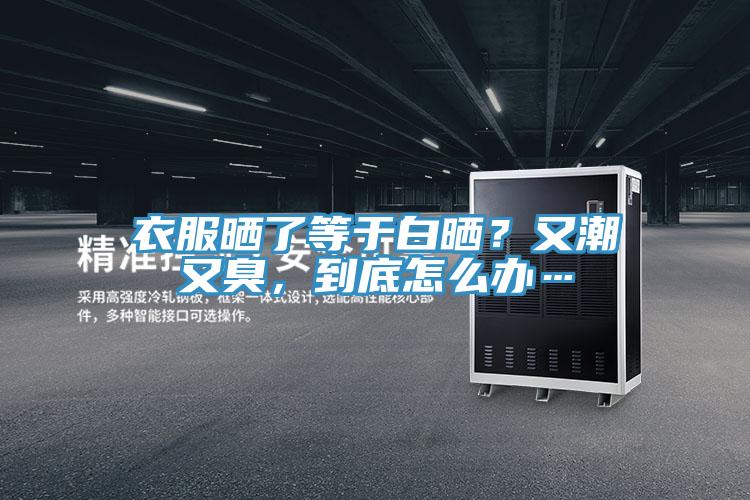 衣服晒了等于白晒？又潮又臭，到底怎么办…