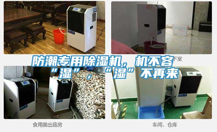 防潮专用粉色应用黄色软件，机不容“湿”，“湿”不再来