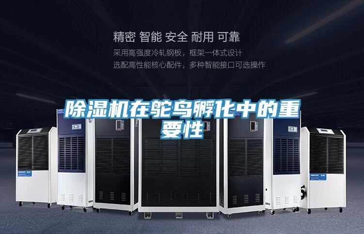 粉色应用黄色软件在鸵鸟孵化中的重要性