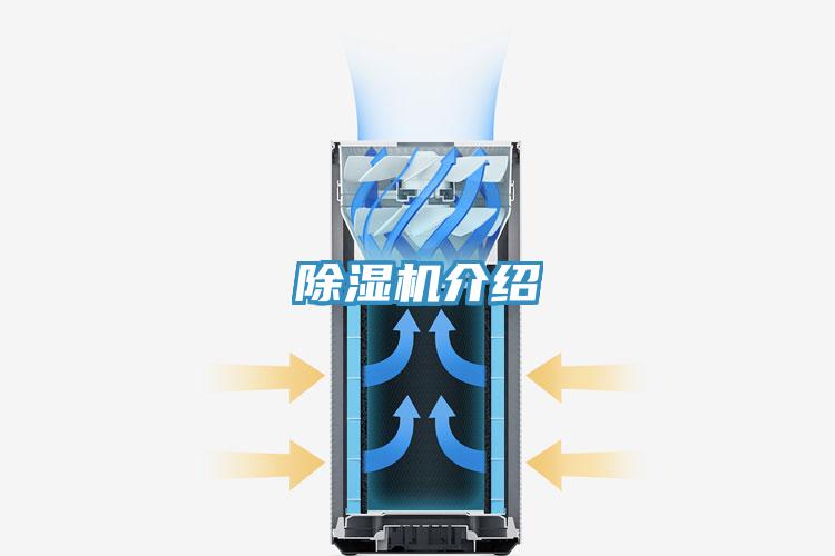 粉色应用黄色软件介绍