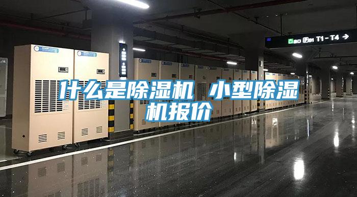 什么是粉色应用黄色软件 小型粉色应用黄色软件报价