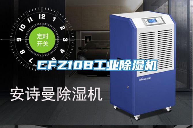 CFZ10B工业粉色应用黄色软件