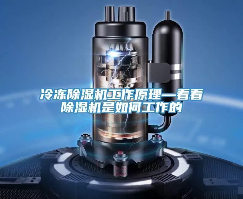 冷冻粉色应用黄色软件工作原理—看看粉色应用黄色软件是如何工作的