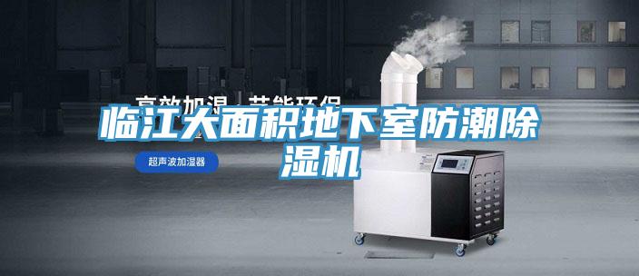 临江大面积地下室防潮粉色应用黄色软件