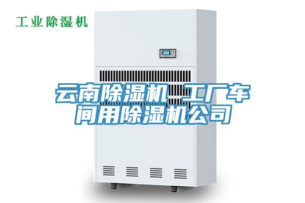 云南粉色应用黄色软件 工厂车间用粉色应用黄色软件公司