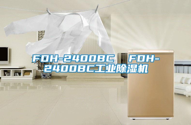 FDH-2400BC FDH-2400BC工业粉色应用黄色软件