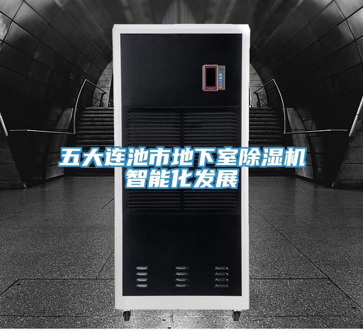 五大连池市地下室粉色应用黄色软件智能化发展