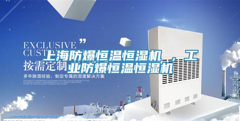 上海防爆恒温恒湿机 ，工业防爆恒温恒湿机
