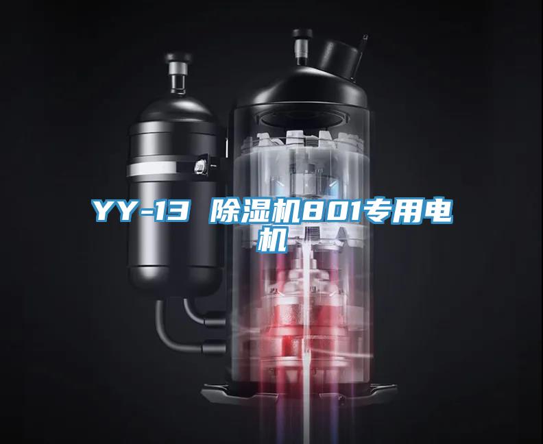 YY-13 粉色应用黄色软件801专用电机