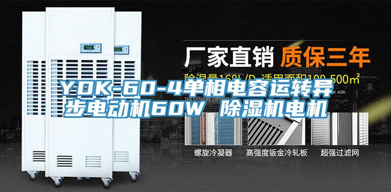 YDK-60-4单相电容运转异步电动机60W 粉色应用黄色软件电机
