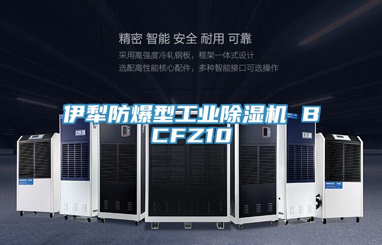 伊犁防爆型工业粉色应用黄色软件 BCFZ10