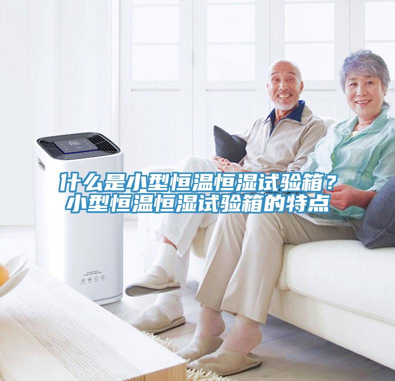 什么是小型恒温恒湿试验箱？小型恒温恒湿试验箱的特点