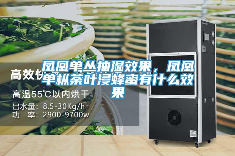 凤凰单丛抽湿效果，凤凰单枞荼叶浸蜂蜜有什么效果