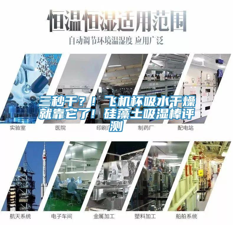 三秒干？! 飞机杯吸水干燥就靠它了! 硅藻土吸湿棒评测