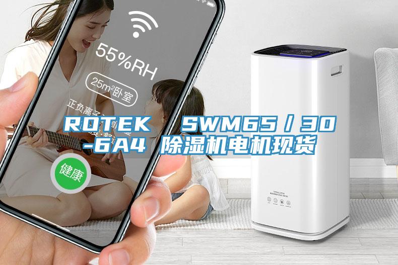 ROTEK  SWM65／30-6A4 粉色应用黄色软件电机现货