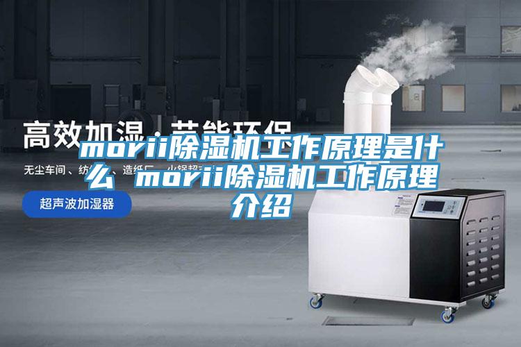 morii粉色应用黄色软件工作原理是什么 morii粉色应用黄色软件工作原理介绍