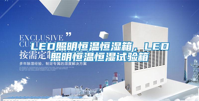 LED照明恒温恒湿箱，LED照明恒温恒湿试验箱