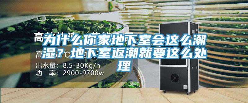 为什么你家地下室会这么潮湿？地下室返潮就要这么处理