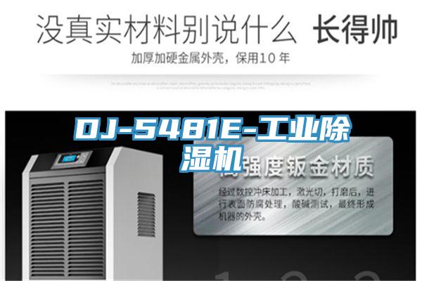 DJ-5481E-工业粉色应用黄色软件