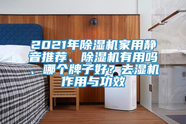 2021年粉色应用黄色软件家用静音推荐、粉色应用黄色软件有用吗、哪个牌子好？去湿机作用与功效