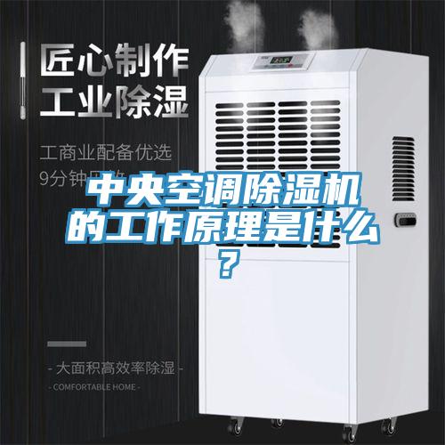 中央空调粉色应用黄色软件的工作原理是什么？