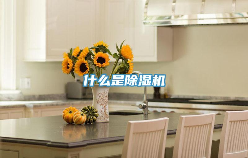 什么是粉色应用黄色软件