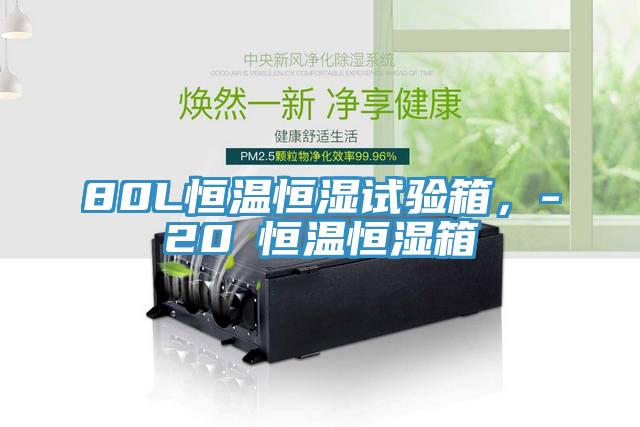 80L恒温恒湿试验箱，-20℃恒温恒湿箱