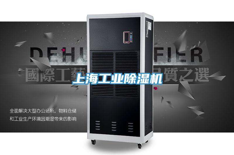 上海工业粉色应用黄色软件