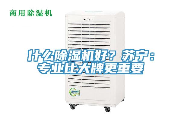 什么粉色应用黄色软件好？苏宁：专业比大牌更重要