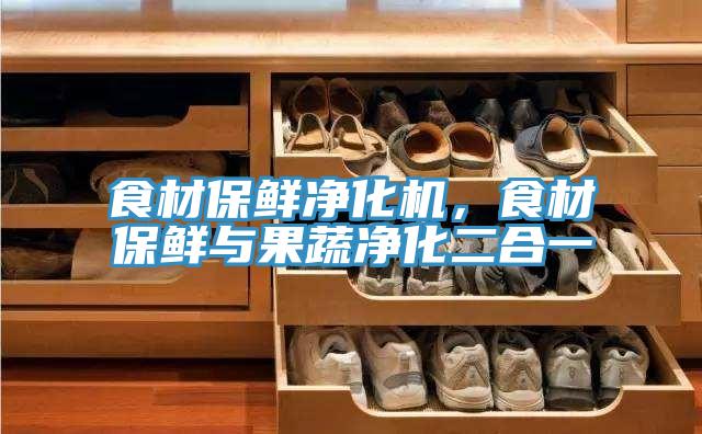 食材保鲜净化机，食材保鲜与果蔬净化二合一