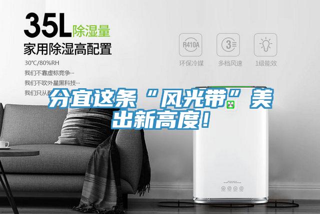 分宜这条“风光带”美出新高度！