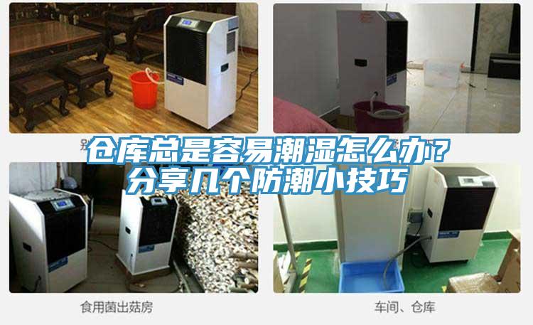 仓库总是容易潮湿怎么办？分享几个防潮小技巧