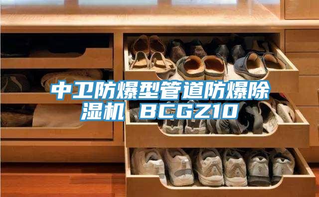 中卫防爆型管道防爆粉色应用黄色软件 BCGZ10