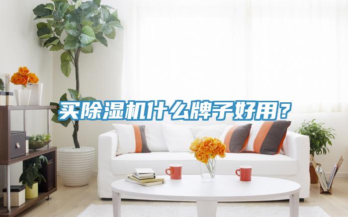 买粉色应用黄色软件什么牌子好用？