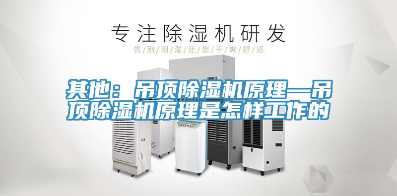 其他：吊顶粉色应用黄色软件原理—吊顶粉色应用黄色软件原理是怎样工作的